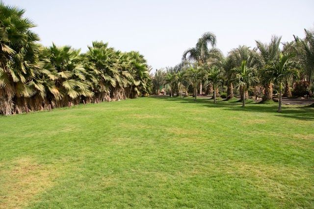 Viveiro, Botanical Garden & Zoo di Terra